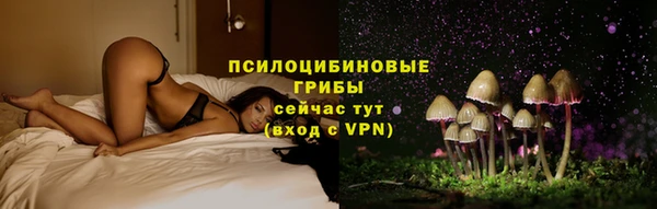 мяу мяу мука Алзамай