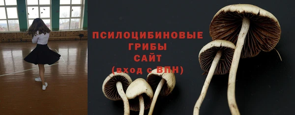 мяу мяу мука Алзамай